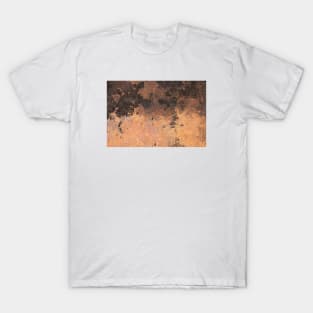 Orange texture burnt T-Shirt